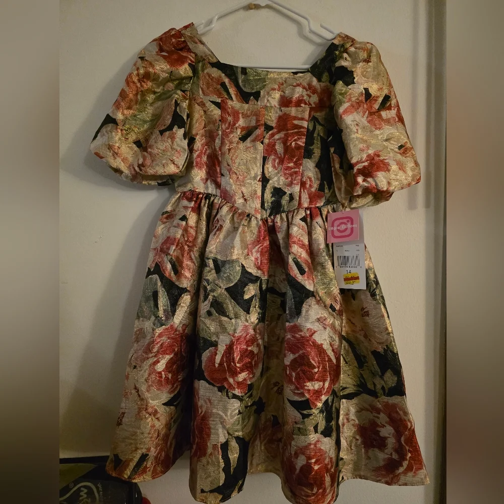Rare Editions‎ Big Girls Floral Organza Dress Size 14